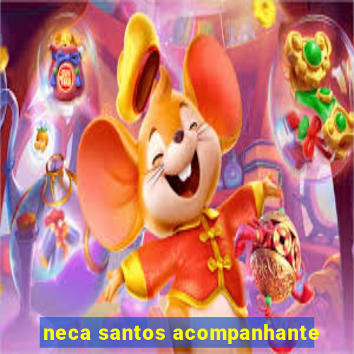 neca santos acompanhante